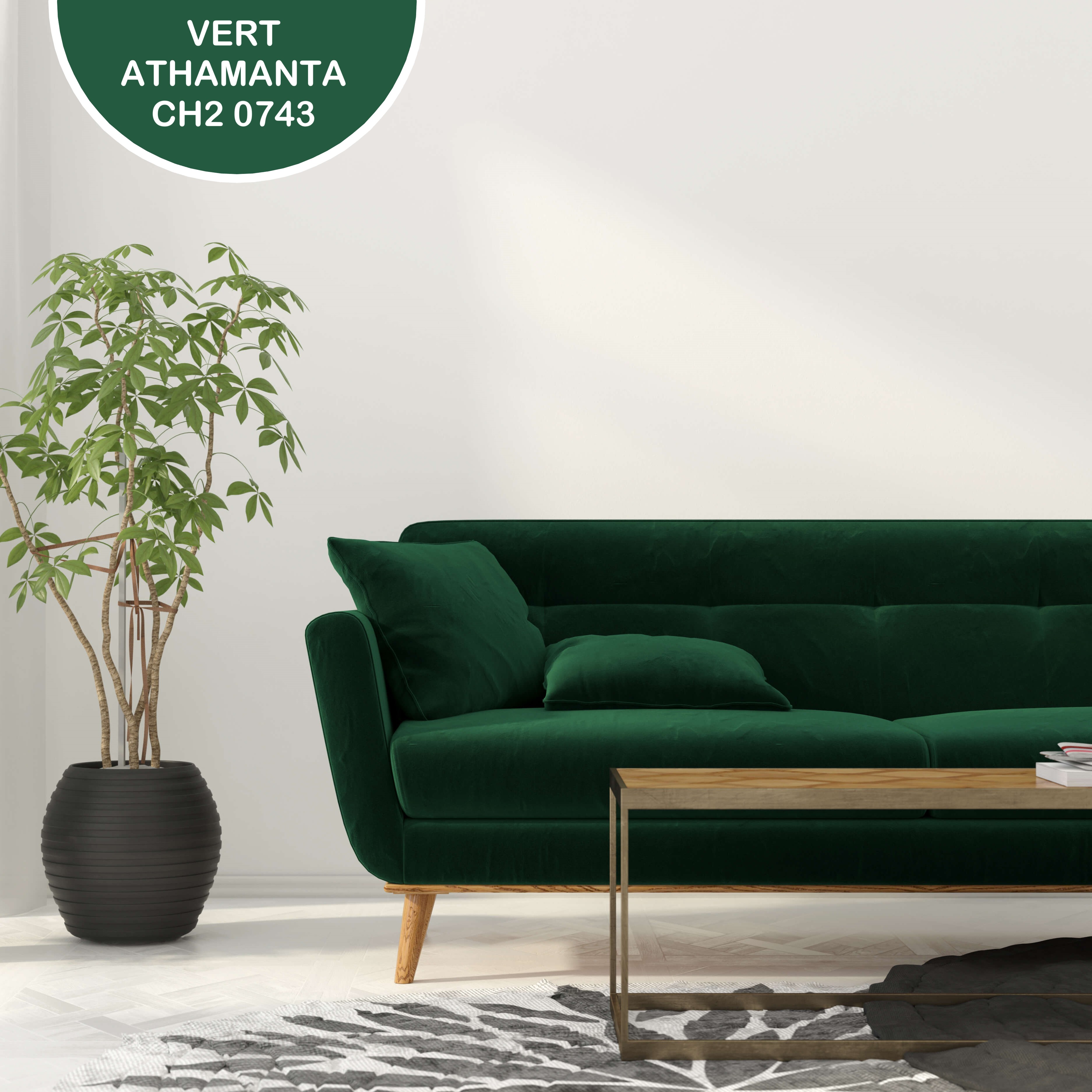 Velours 2